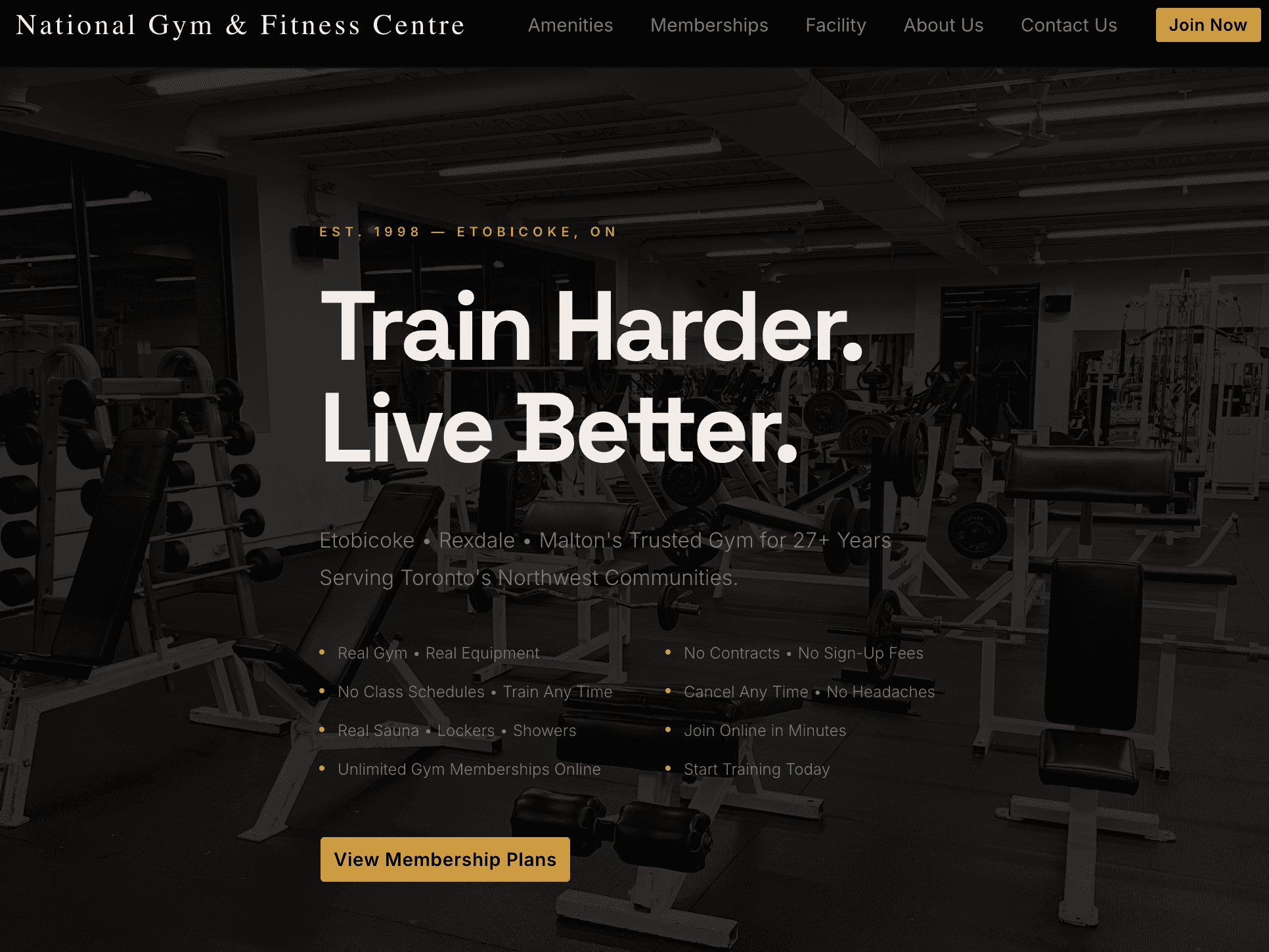 Project preview